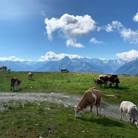 Schneekarhuette Im Sommer Schwendau